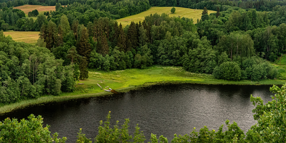 The green forest with lake in Latvia for Malkiele sustainable designer.