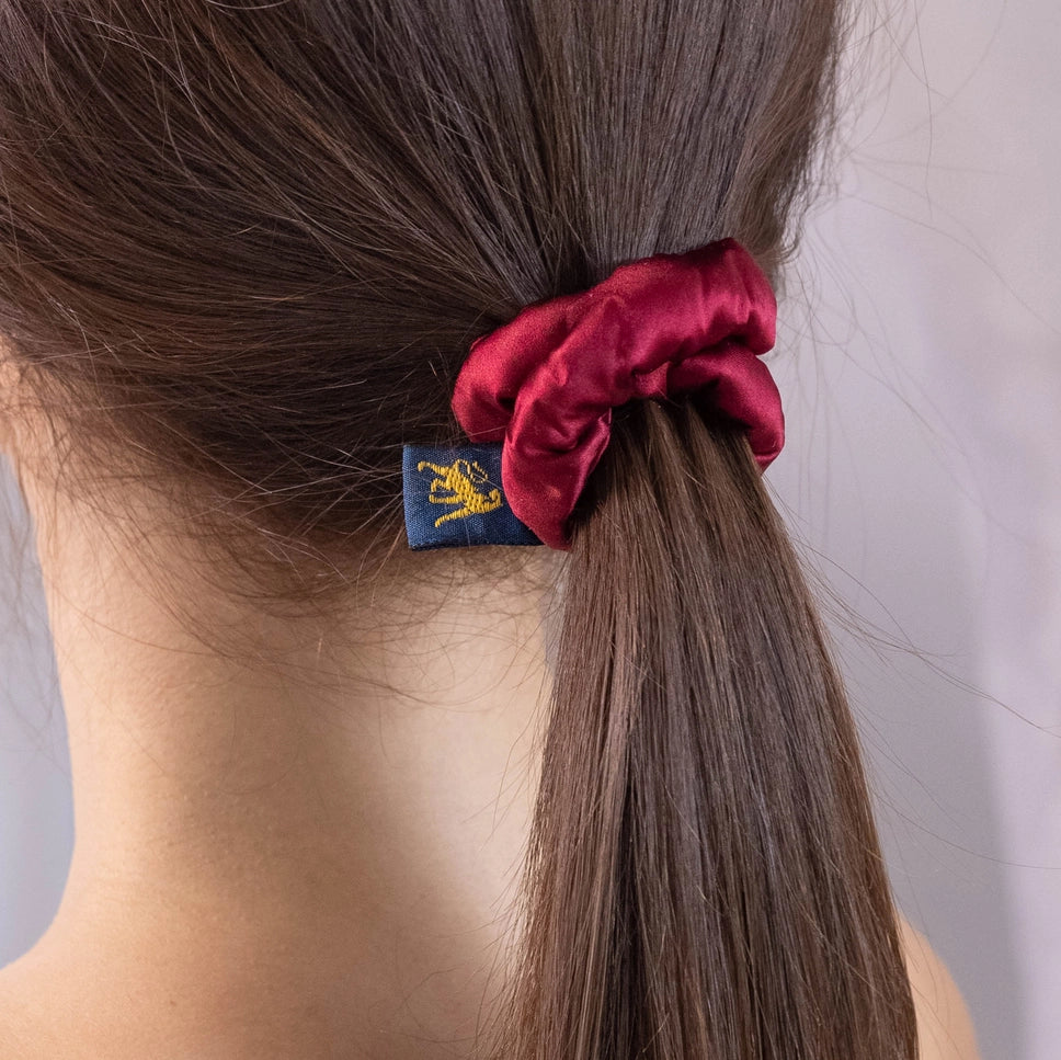 
                  
                    A dark-haired woman, view from the back, scrunchie details, with stylish ponytail is wearing Malkiele designer burgundy silk covered coil scrunchie, name Grace.
                  
                